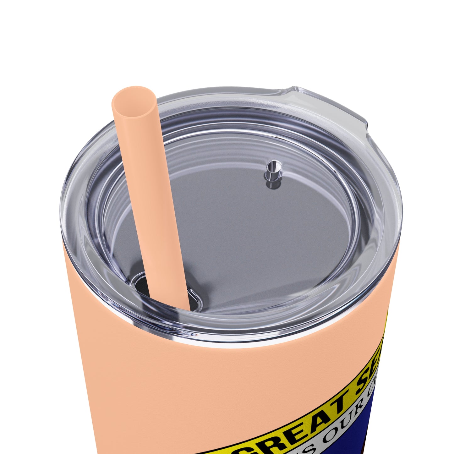 VIPI Skinny Tumbler with Straw, 20oz