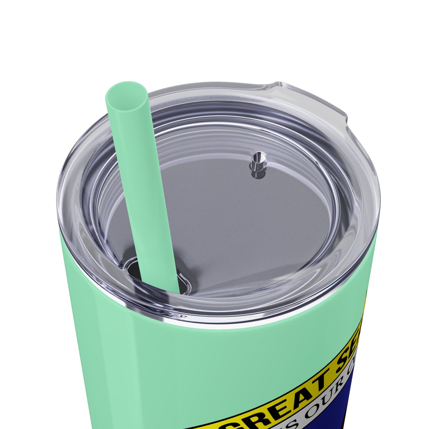 VIPI Skinny Tumbler with Straw, 20oz
