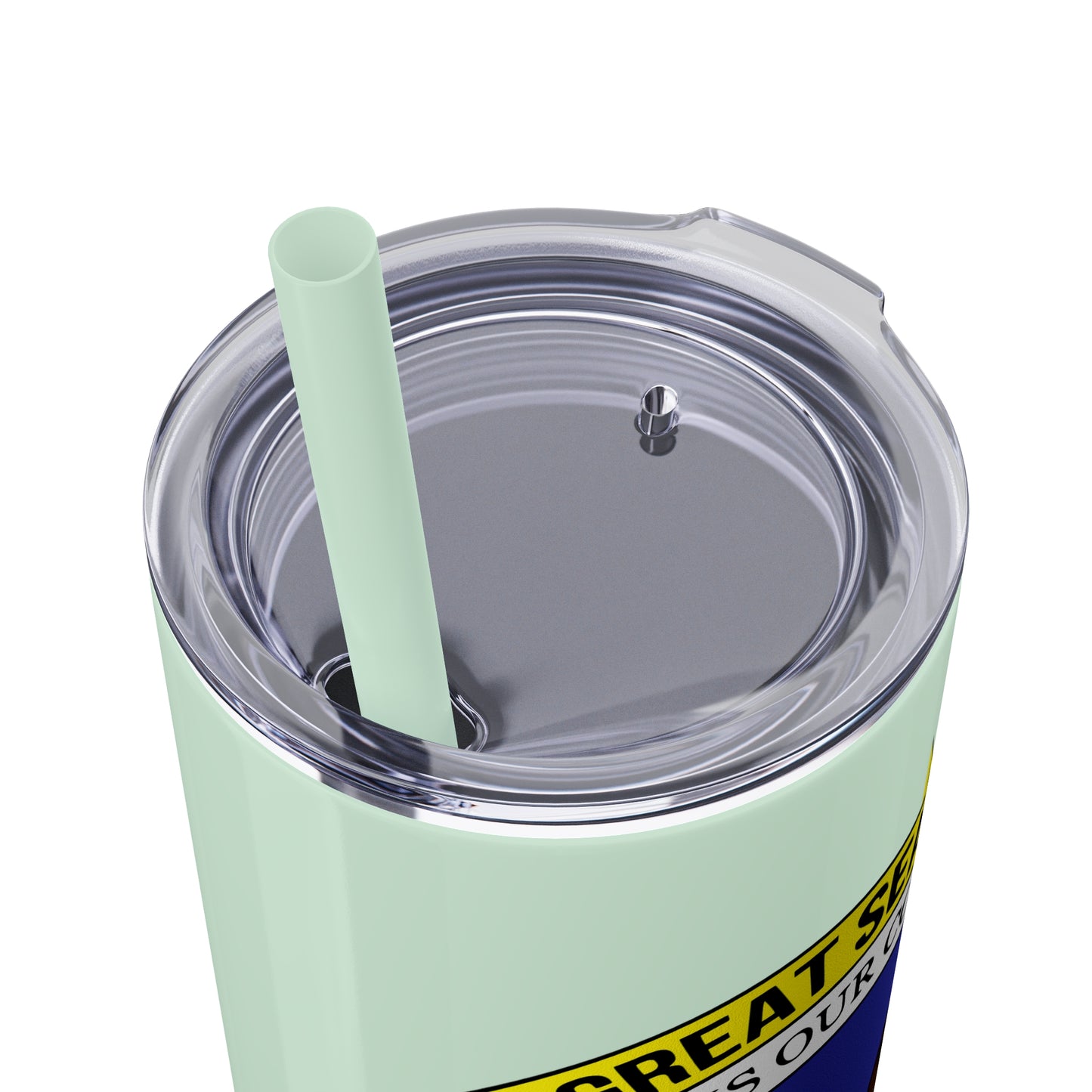 VIPI Skinny Tumbler with Straw, 20oz